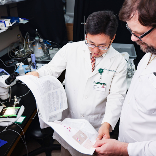 Endodontics research